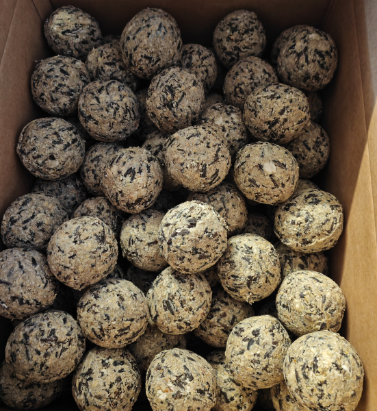 100 Stk Meisenknödel klein ohne Netz aus und in Thüringen Produziert für Sommer und Winter geeignet sehr gute Qualität frisch Produziert